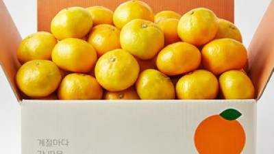 깨비농원노지감귤4.5kg 가격정보 Best 상품순위 알아보기