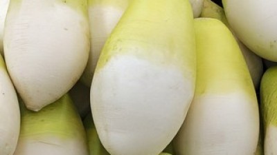 못난이무10kg | 후기가 증명하는 최고의 제품 선택