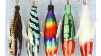 쭈꾸미애기추천 가이드 정보 공유