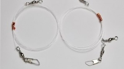 대구채비 올해 화제의 아이템