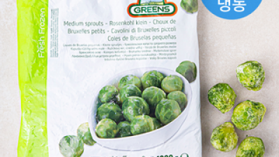 냉동양배추kg 가이드 정보 공유