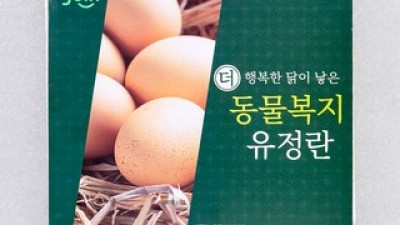 무항생제유정란20구 올해 화제의 아이템