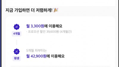 핀다이렉트 100기가+5mps 3300원